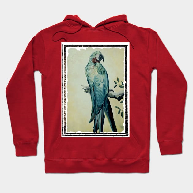 PARROT BIRD Hoodie by jmodern